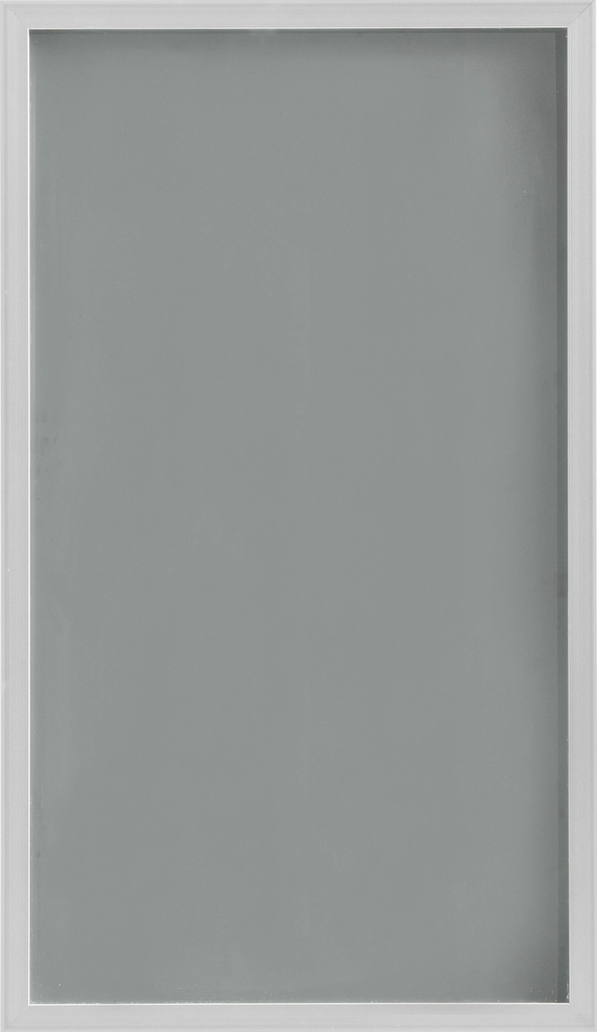 Aluminum Framed Door #1